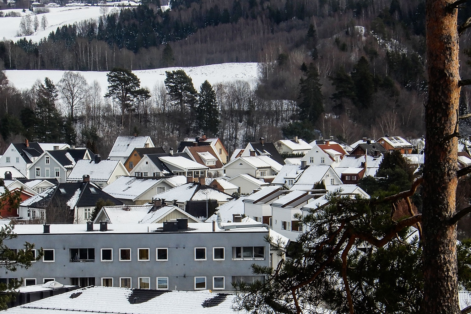 Omsetning av eiendommer i Ringerike kommune i uke 1 2025