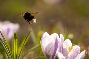 Opp mot 26 grader og sommervær på vei: Her blir det varmest