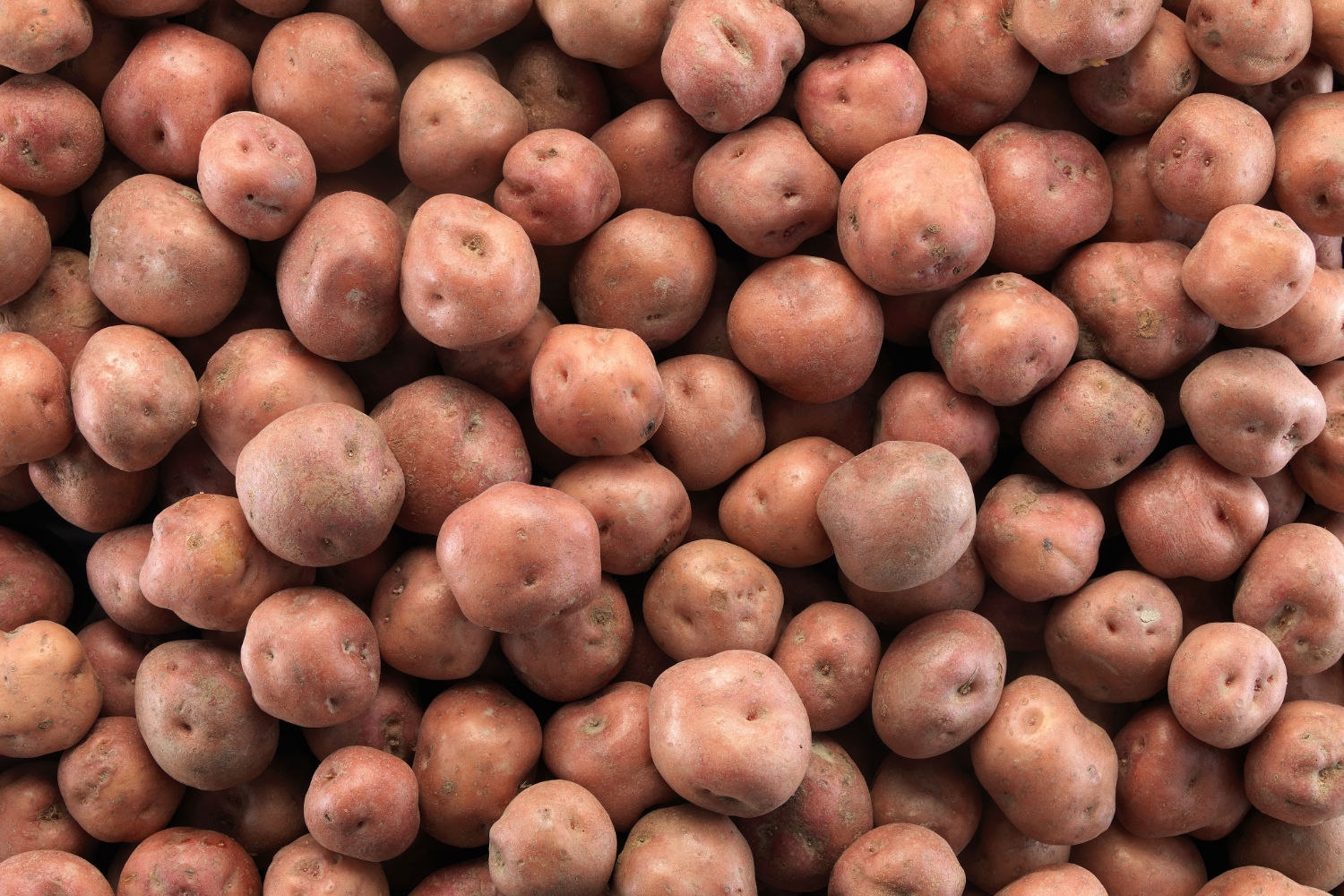 2025 blir et nytt år uten Ringerikspotet