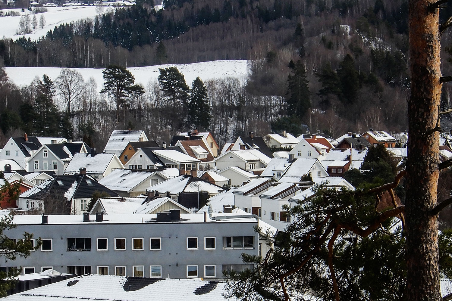 Omsetning av eiendommer i Ringerike kommune uke 11