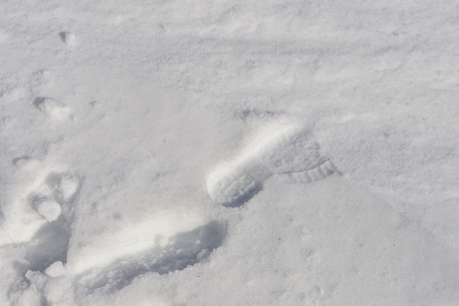 Meteorologene advarer mot mye snø på Østlandet