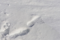 Meteorologene advarer mot mye snø på Østlandet