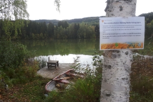 Dårlig vannmiljø i 30 av 33 innsjøer på Hadeland