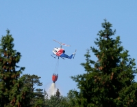 168 skogbranner så langt i år - Buskerud på topp